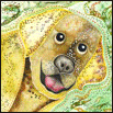 RDog