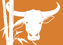 Earth Ox